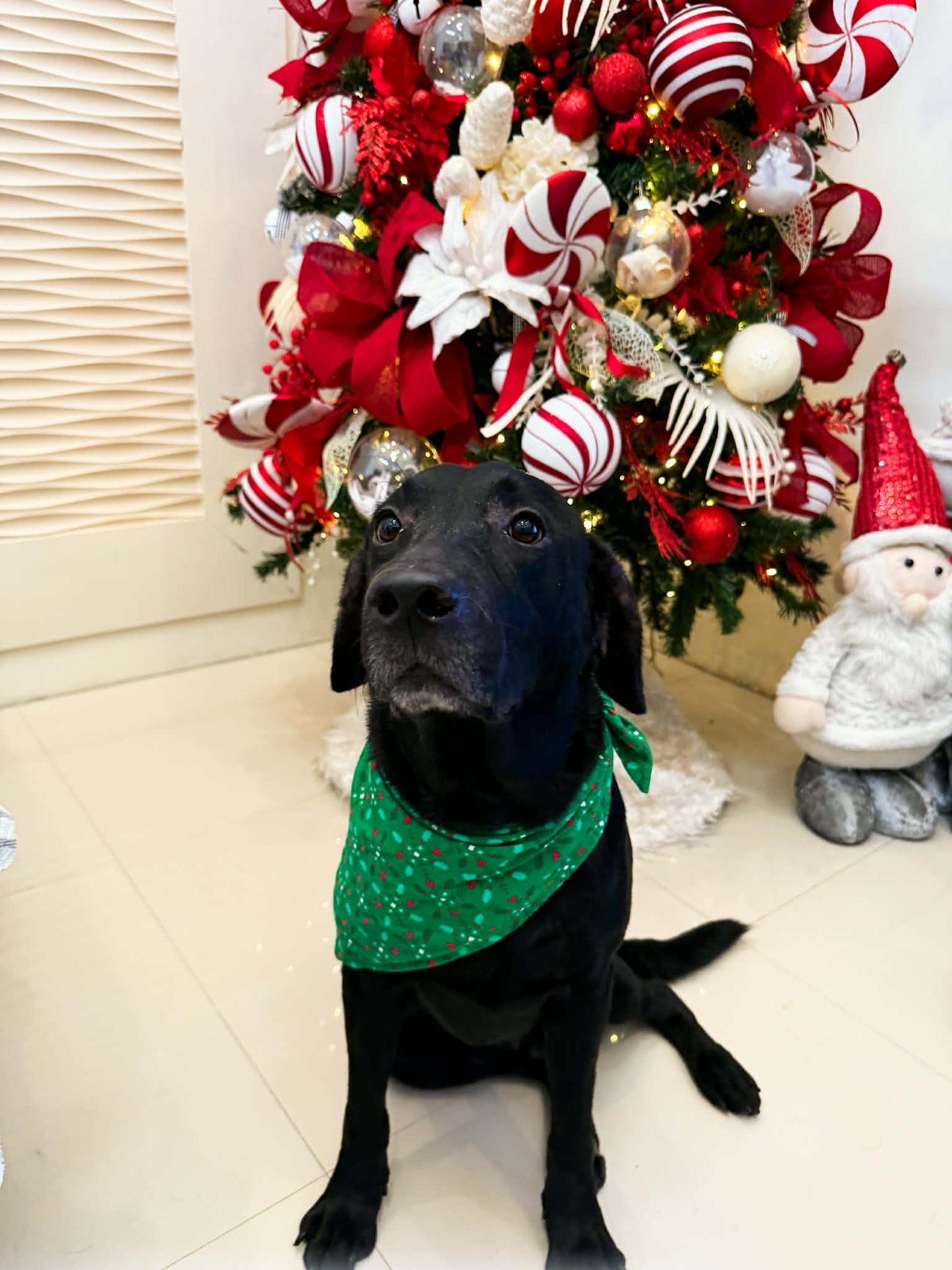 Pambahaymnl Christmas Furbabies Bib